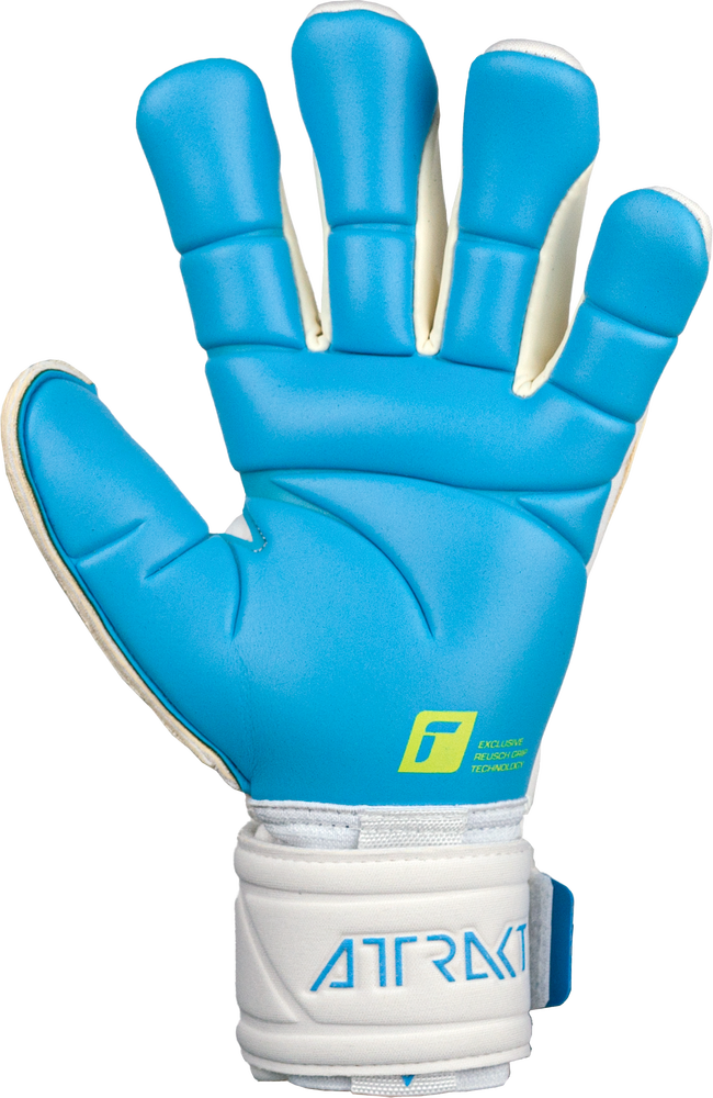 Fit control pro top ax2 evolution nc